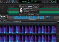 Steinberg Spectralayers 13 Pro (Latest Version)